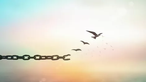 Gettyimages 11756437741