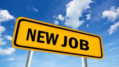 New job1