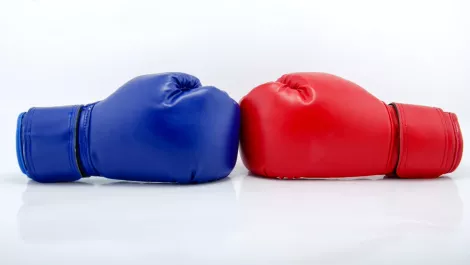 Thinkstockphotos 480423269