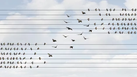 Thinkstockphotos 504702098