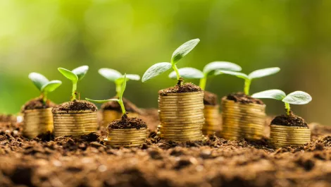 Thinkstockphotos 546200366