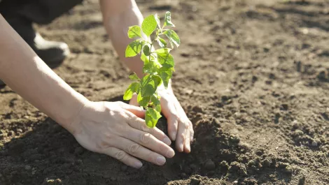 Gettyimages 1156209114